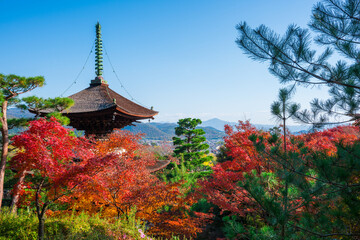 京都　嵯峨野　常寂光寺（じょうじゃっこうじ）の多宝塔と紅葉