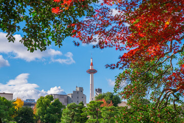 京都　渉成園から見る京都タワーと紅葉