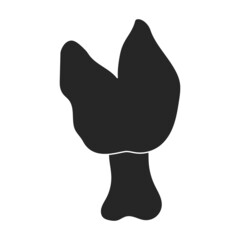 Amanita vector icon.Black vector icon isolated on white background amanita.