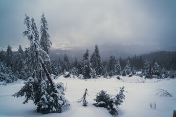 Fototapeta na wymiar winter mountain panorama view in the alps