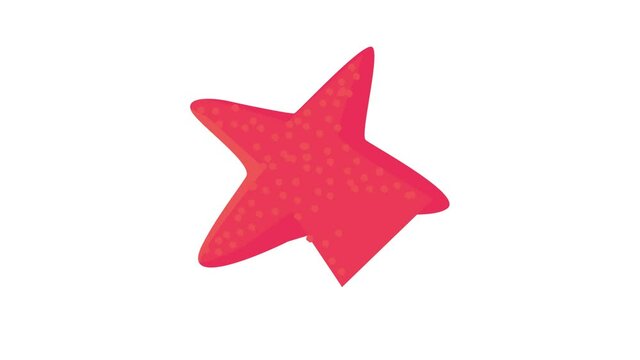 Starfish icon animation best cartoon object on white background