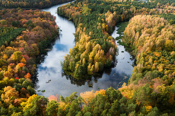 Stunning river and forest in autumn. Aerial view of wildlife.