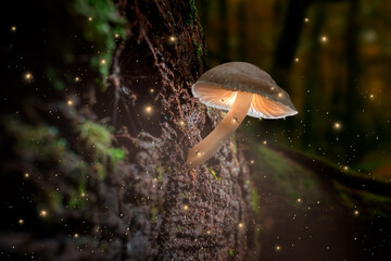 Glowing mushroom on bark with fireflies in dark forest.