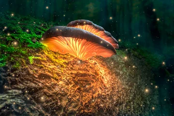  Glowing mushrooms on tree trunk with fireflies at dusk. © shaiith