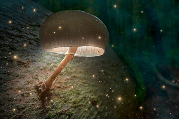 Magical forest and mushroom lamp with fireflies at dusk.