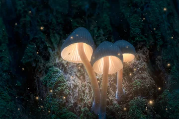 Tuinposter Glowing magic mushrooms on tree in dark forest with fireflies © shaiith