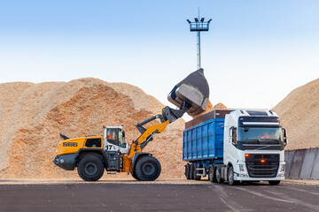 Naklejka premium Wood chips storage in timber terminal. Sawdust. 