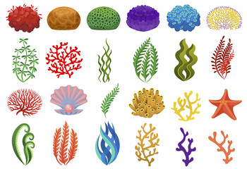 Colored seaweed and corals, underwater flora sea or ocean. Vector underwater sea coral for aquarium, reef aquatic and algae illustration © Frogella.stock