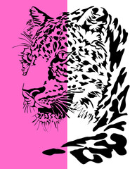 leopard head vector