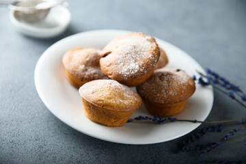 Homemade lavender muffins with icing sugar