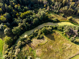 Swampy oxbow lake, aerial view