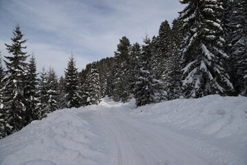 Fototapeta na wymiar country roads covered with snow in winter.turkey