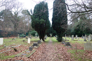 Old Graveyard with Broken and Fallen Crosses and Graves in Overgrown Grass Spooky