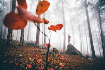  Woman walking in the foggy autumn forest.