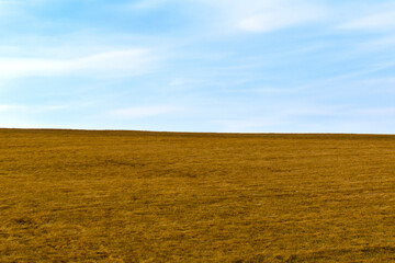 autumn yellow lawn and blue sky