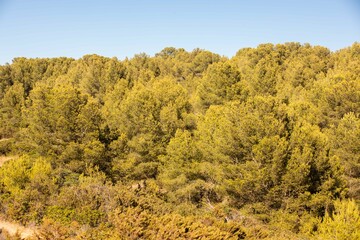 Atlantic coast of Algarve, Portugal