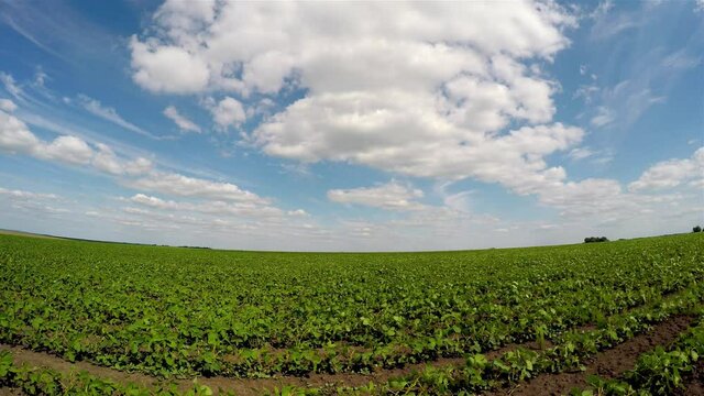 Captivating scene of the countryside with white fluffy clouds.