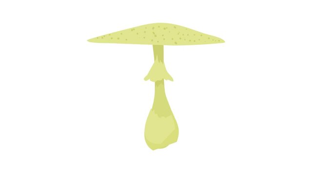 Macrolepiota procera icon animation best cartoon object on white background