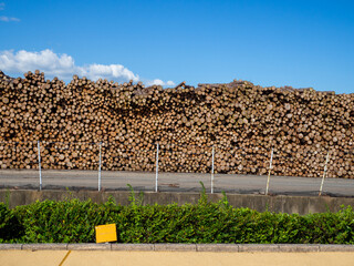 積み上げられた木材