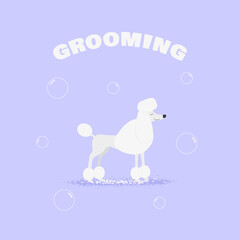Pet grooming. Vector illustration.
