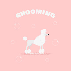 Pet grooming. Vector illustration.