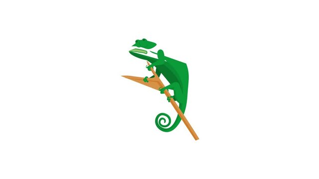 Lizard icon animation best cartoon object on white background