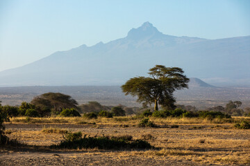 Fototapeta premium KENYA - AUGUST 16, 2018: Landscape of Amboseli National Park