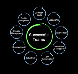 Nine prerequests for Successful Teams