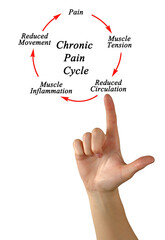 Steps in Chronic Pain Cycle