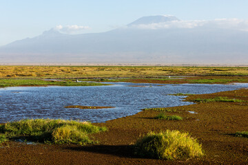 KENYA - AUGUST 16, 2018: Mt Kilimanjaro in Amboseli National Park