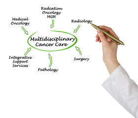 Elements of Multidisciplinary Cancer Care.