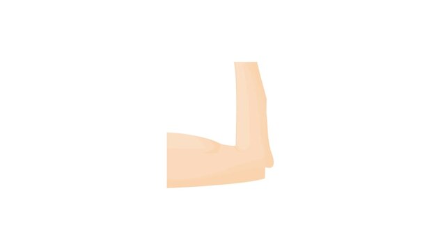 Arm showing biceps muscle icon animation best cartoon object on white background