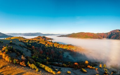 Mountains with colorful trees covered with layer of fog