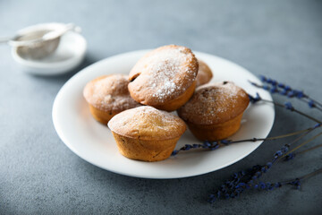 Homemade lavender muffins with icing sugar