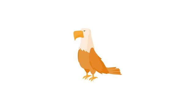 Bald eagle icon animation best cartoon object on white background