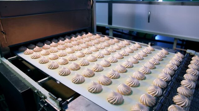 Automated conveyor line with white beautiful candies. Marshmallow sweets put in rows on the conveyor belt of modern confectionery.