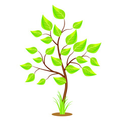 Vector illustration of a green tree on a white background