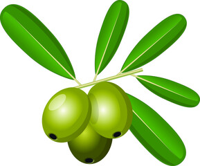 Set of green olives on a white background with leaves