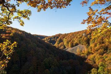 Fototapeta premium autumn in the mountains