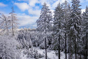 Blick auf den verschneiten Odenwald