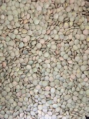 Raw grains green of lentils. Lentils texture