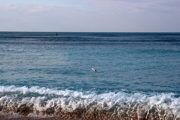 Clear blue sea water close up photo. Calm sea, blue sky,  tranquil scene. Warm day on the beach. 