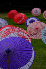 Many Japanese umbrellas