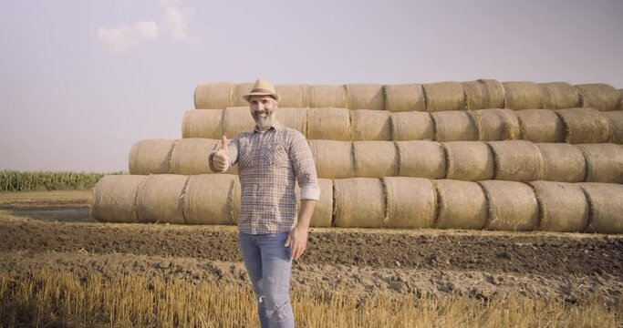 Happy farmer is standing beside bales of hay. He is satisfied because of successful harvesting. 4K video.