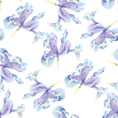 Watercolor seamless pattern. Watercolor floral pattern. Gentle Iris Flowers pattern. Purple iris flowers. Design for bedding, textile, wallpaper, wrapping paper, home decor, fabric, backgrounds, girl