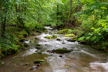 Obraz premium Trienzbach im Odenwald