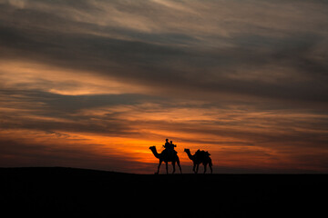 Camels walking over sand dunes against dramatic skies at Sam sand dunes