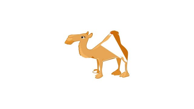 Camel icon animation best cartoon object on white background
