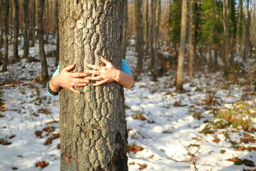 young caucasian hands hugging a big tree in the woods, nature love concept