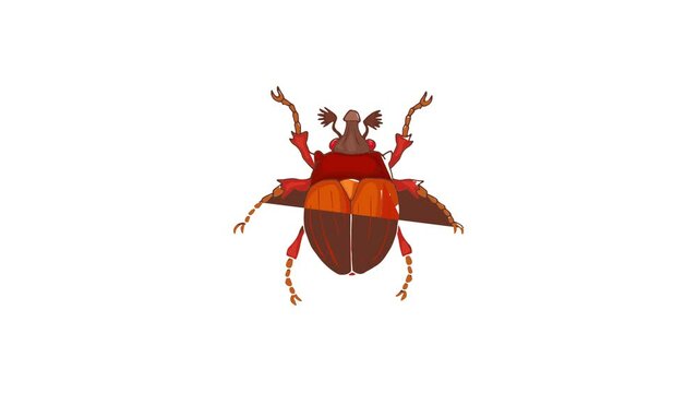 Insect bug icon animation best cartoon object on white background